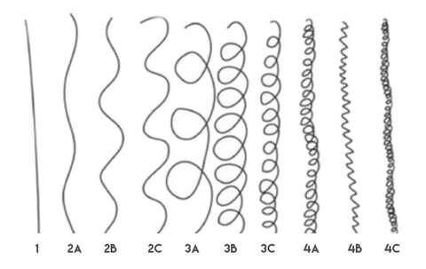 Curl Type Chart